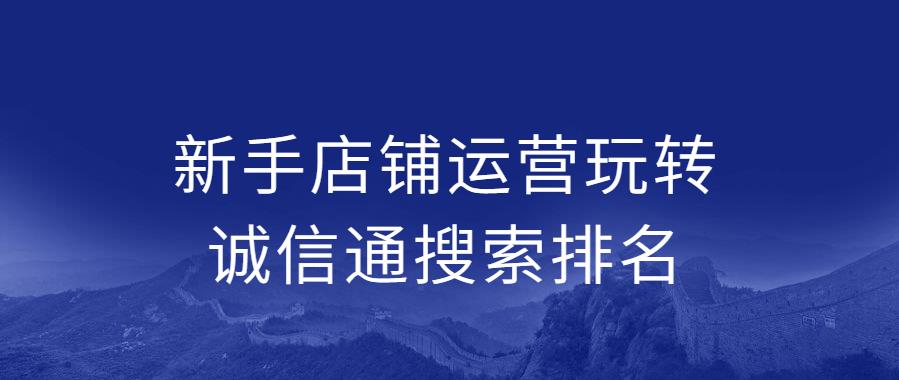 新手店铺运营玩转诚信通搜索排名